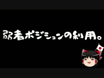 【ゆっくり保守】子供を平気で利用する沖縄ヘイワ活動家