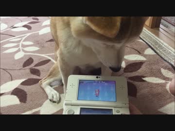 妖怪の声に反応する犬