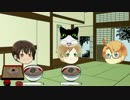 【APヘタリア】はぐれがソーリになってみた【政剣マニフェスティア】
