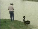 ビル・ダンス「Fishing Blooper」 ビル・ダンス攻撃を受ける