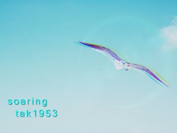 【オリジナル曲】 soaring