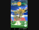 ポケモンGO サンダー初バトル！