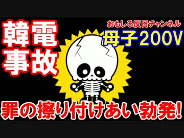 【韓国母子が安全フェンスで200Ｖ感電】 罪の擦り付けあいバトル勃発！
