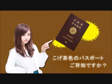 知っていました、こげ茶色のパスポートがあるって！？