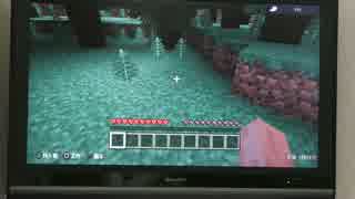 狂った2人はＭｉｎｅｃｒａｆｔを始めたようです　　~part１~