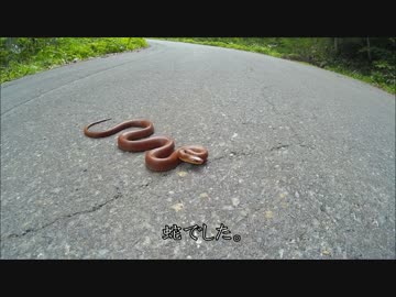 クソ社畜が行く、初夏ツーリング④（志賀草津道路～切明温泉）