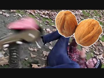 【衝撃映像】世界のきんたま強打映像集2017.nuts【痛い動画】