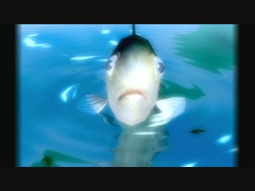 【実況】おれと、おまえらと、ぼくのなつやすみ 9日目【8月毎日撮影】