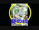 葵は眼に入れても痛くない