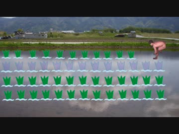 田んぼに命を吹き込んだ先輩