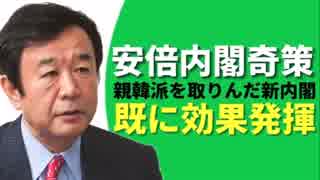 安倍首相の奇策！親韓派取り込みで既に絶大な効果を発揮した模様ｗ