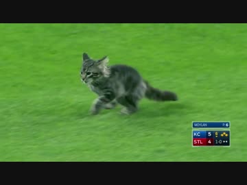 珍プレー動画 動物や虫が球場に乱入したシーン集 メジャーリーグ編 ジャイロボール適当指南書