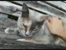 20170808