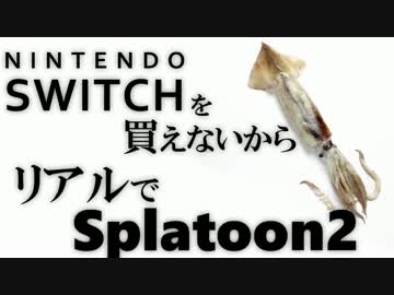 SWITCH買えないからリアルのイカちゃんでスプラトゥーン２？