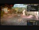 【MHP3rd】平成の侍たちが全裸で逝くッ!!Part6【防具無しアイテム無し縛】