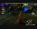 【MHXX】 集会所★7  「奈落の妖星」