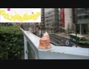 花澤香菜のひとりでできるかな？2017年8月10日第299回