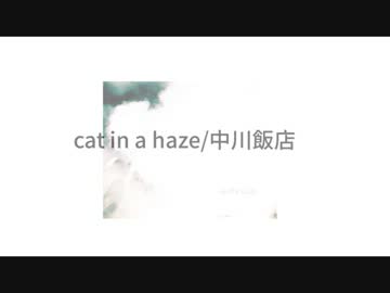 cat in a haze/中川飯店