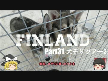 【ゆっくり】北欧フィンランド一人旅　part31　犬ぞりツアー2