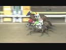 2017年8月10日大井競馬10R シンデレラチャレンジ２(A2以下牝馬)