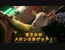 ヤギと夏祭り