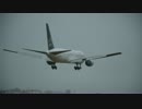 ANA　B７６７ー３００　スターアライアンス特別塗装機の着陸　