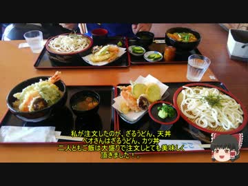 ガロウのツーリング日記part０２メタセコイア並木