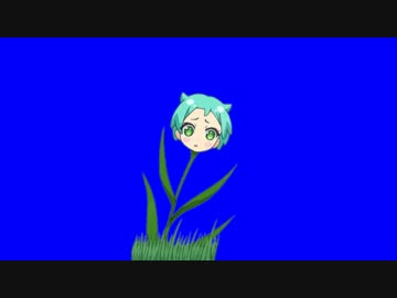 ニジイロニノクサBB