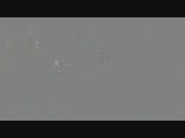 反靖国・反天皇・極左キャンドルデモへのカウンター５　岡村幹雄氏