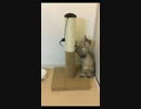 ねことねずみ