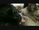 【508】ジャン❤︎ポン　とにかく愛が溢れている