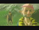 ：D ゼルダの伝説BotW【実況】35話