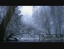 【東方自作アレンジ】幻想のホワイトトラベラー【東方天空璋4面道中曲】