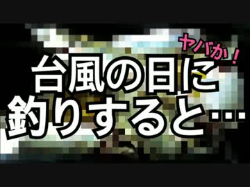 【危険】台風の日はヤツらがすごい！！！