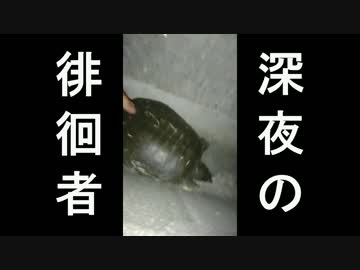 【ランエボ】♯２２公道最速安全理論【修学旅行】