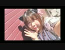 【個性の主張】ようこそジャパリパークへ【で動いてみた】