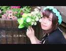 【佐藤ゆん。】さようなら、花泥棒さん【踊ってみた】