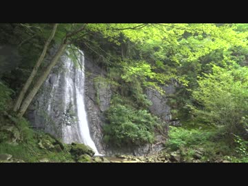 低山を歩こう 笠形山 20170812 part1