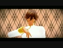 【Fate/MMD】太陽王で桃源恋歌