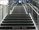 109／ライカドッグ