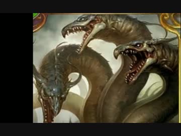 ハ イ ド ラ 詰 め 合 わ せ.doraji