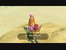 自由すぎるリンクの冒険【プレイ動画その１３０】