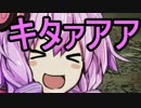 頭No派系脳筋？ゆかりのチキチキダークソウル３初見プレイDLC2-8