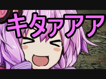 頭No派系脳筋？ゆかりのチキチキダークソウル３初見プレイDLC2-8