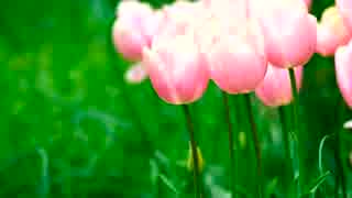 続・好きな音楽テーマ別うｐ・少女編Ⅸ