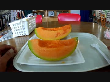 【全天球】北海道10日間ほぼ一周　～9日目 岬巡り～【米国製】