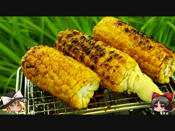 ゆっくりの田舎と自然　第１６話「夏と野菜とお星さま」前編