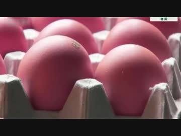 禁止殺虫剤使った養鶏場が2度目の調査で6ヶ所から 31ヶ所に増える韓国w