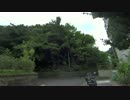 Cicadas in Kamakura city of Japan Summer/鎌倉市の蝉(午前)(Stereo)
