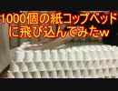 1000個の紙コップベッドに飛び込んでみた!!